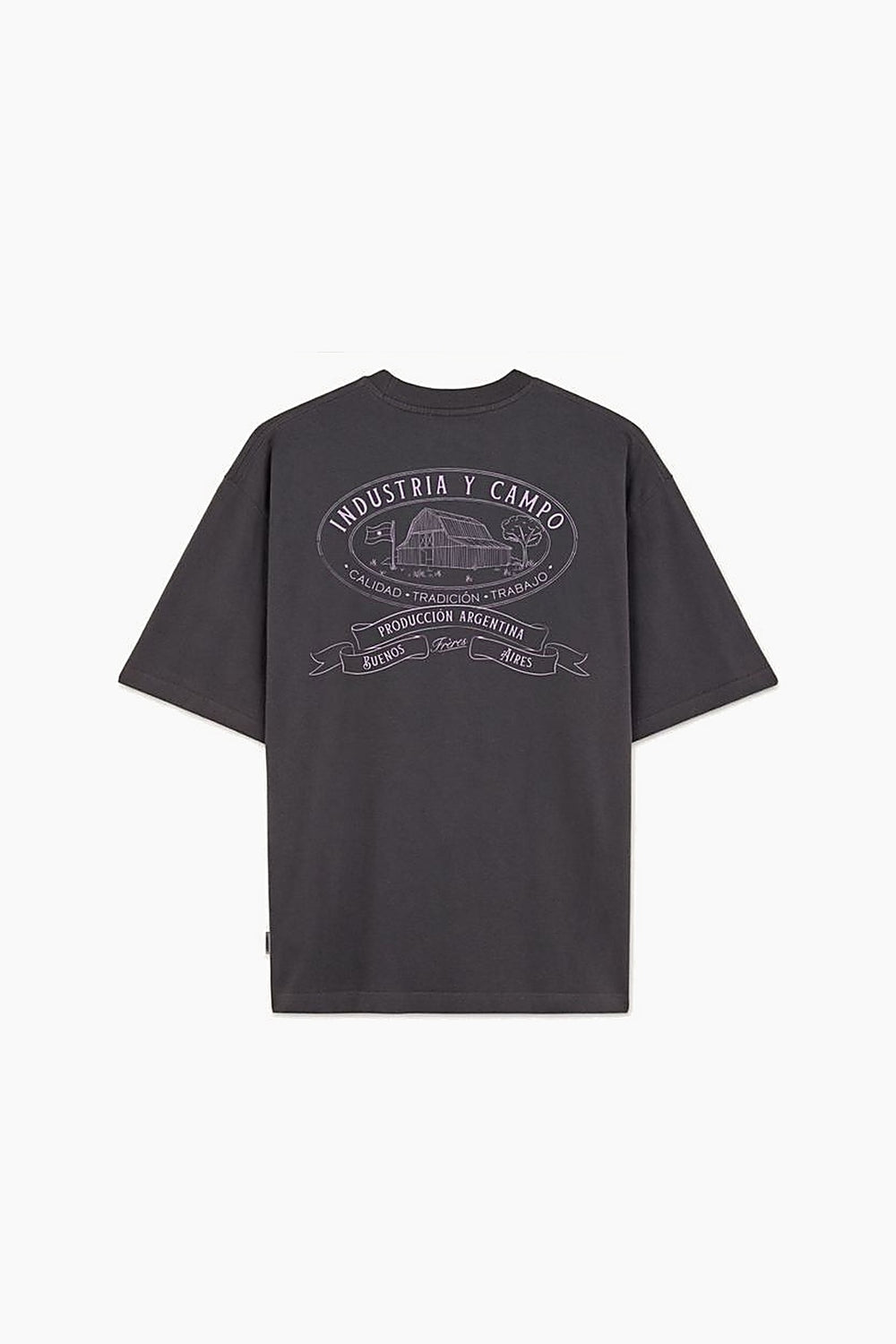 Remera Oversize Industria y Campo - Gris